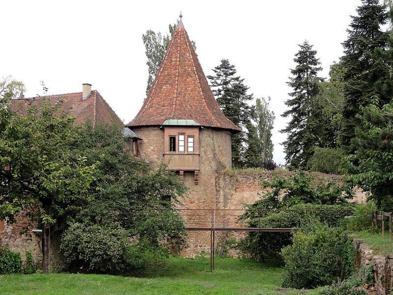 Maison indépendante Chez Yvette et André, 2 à 6 pers, près Colmar, Ribeauvillé, Europa-Park Guémar Exterior foto